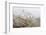 Point Reyes Lighthouse-Richard Cummins-Framed Photographic Print