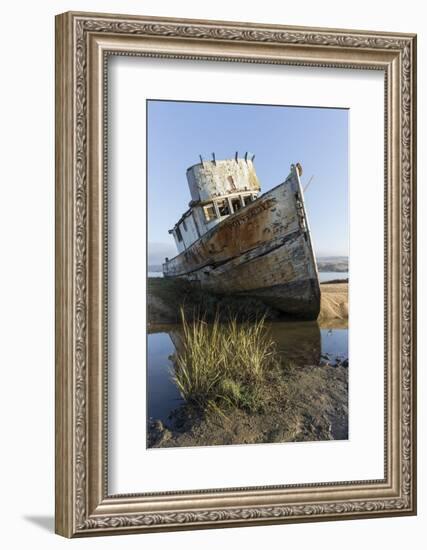 Point Reyes Shipwreck, Inverness, California-Paul Souders-Framed Photographic Print