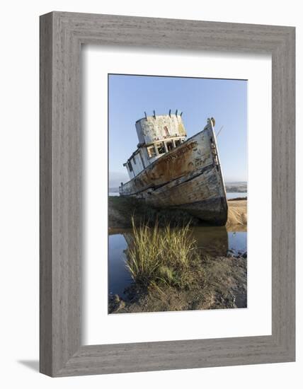 Point Reyes Shipwreck, Inverness, California-Paul Souders-Framed Photographic Print