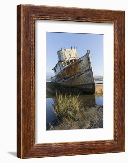 Point Reyes Shipwreck, Inverness, California-Paul Souders-Framed Photographic Print