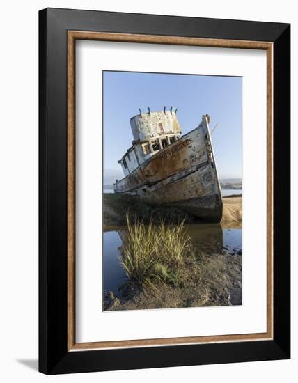 Point Reyes Shipwreck, Inverness, California-Paul Souders-Framed Photographic Print