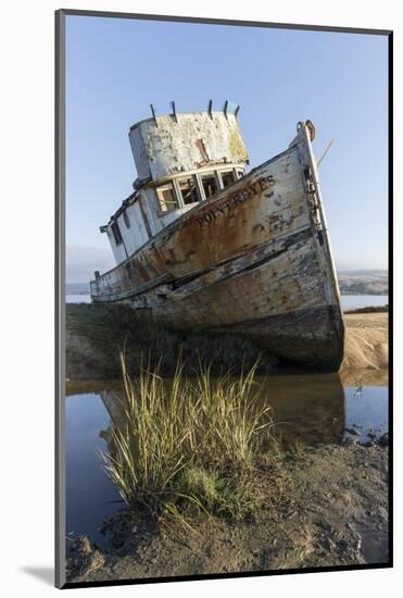 Point Reyes Shipwreck, Inverness, California-Paul Souders-Mounted Photographic Print