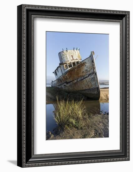 Point Reyes Shipwreck, Inverness, California-Paul Souders-Framed Photographic Print