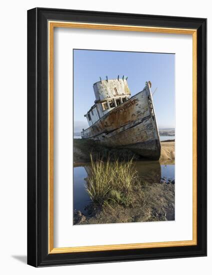 Point Reyes Shipwreck, Inverness, California-Paul Souders-Framed Photographic Print