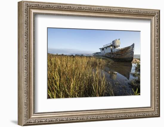 Point Reyes Shipwreck, Inverness, California-Paul Souders-Framed Photographic Print