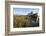 Point Reyes Shipwreck, Inverness, California-Paul Souders-Framed Photographic Print