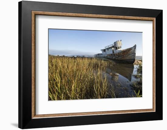 Point Reyes Shipwreck, Inverness, California-Paul Souders-Framed Photographic Print