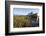 Point Reyes Shipwreck, Inverness, California-Paul Souders-Framed Photographic Print