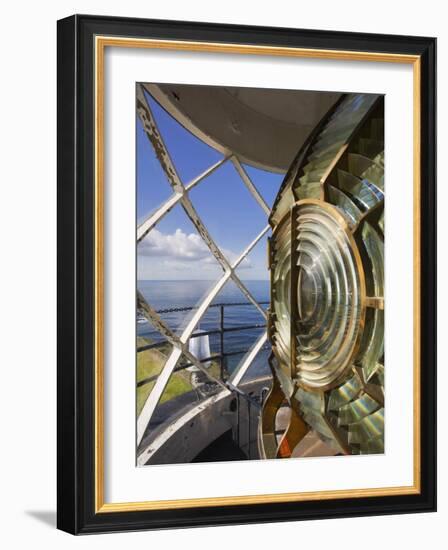 Point Vincente Lighthouse Lens, Palos Verdes Peninsula, Los Angeles, California-Richard Cummins-Framed Photographic Print