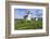 Point Wilson Lighthouse-Richard Cummins-Framed Photographic Print