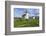 Point Wilson Lighthouse-Richard Cummins-Framed Photographic Print