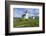 Point Wilson Lighthouse-Richard Cummins-Framed Photographic Print