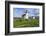 Point Wilson Lighthouse-Richard Cummins-Framed Photographic Print