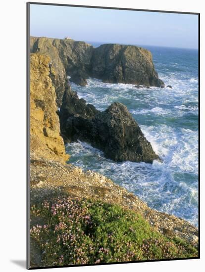 Pointe De Port Coton, Belle Ile En Mer, Breton Islands, Morbihan, Brittany, France-Bruno Barbier-Mounted Photographic Print