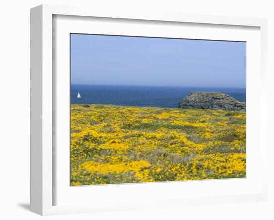 Pointe Du Vieux Chateau, Belle Ile En Mer, Breton Islands, Morbihan, Brittany, France-Bruno Barbier-Framed Photographic Print