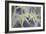 Pointed Floral-Staffan Widstrand-Framed Giclee Print