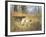 Pointers in a Landscape-Eugene Petit-Framed Giclee Print