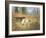 Pointers in a Landscape-Eugene Petit-Framed Giclee Print