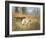 Pointers in a Landscape-Eugene Petit-Framed Giclee Print