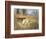 Pointers in a Landscape-Eugene Petit-Framed Giclee Print