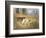 Pointers in a Landscape-Eugene Petit-Framed Giclee Print