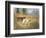 Pointers in a Landscape-Eugene Petit-Framed Giclee Print