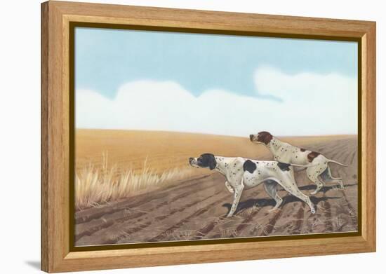 Pointers in Field-null-Framed Stretched Canvas