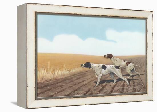 Pointers in Field-null-Framed Stretched Canvas