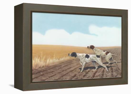 Pointers in Field-null-Framed Stretched Canvas