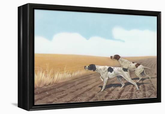 Pointers in Field-null-Framed Stretched Canvas