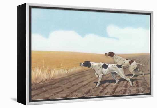 Pointers in Field-null-Framed Stretched Canvas