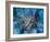 Pointing the Way - horizontal-Aleta Pippin-Framed Giclee Print