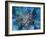Pointing the Way - horizontal-Aleta Pippin-Framed Giclee Print