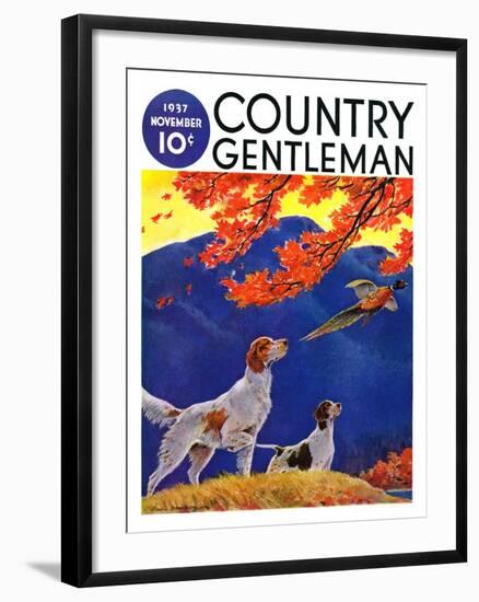 "Pointing to the Pheasant," Country Gentleman Cover, November 1, 1937-Paul Bransom-Framed Giclee Print