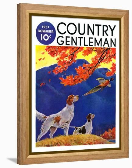 "Pointing to the Pheasant," Country Gentleman Cover, November 1, 1937-Paul Bransom-Framed Premier Image Canvas