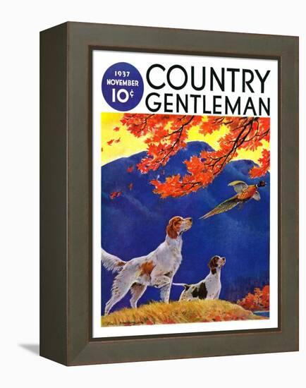 "Pointing to the Pheasant," Country Gentleman Cover, November 1, 1937-Paul Bransom-Framed Premier Image Canvas