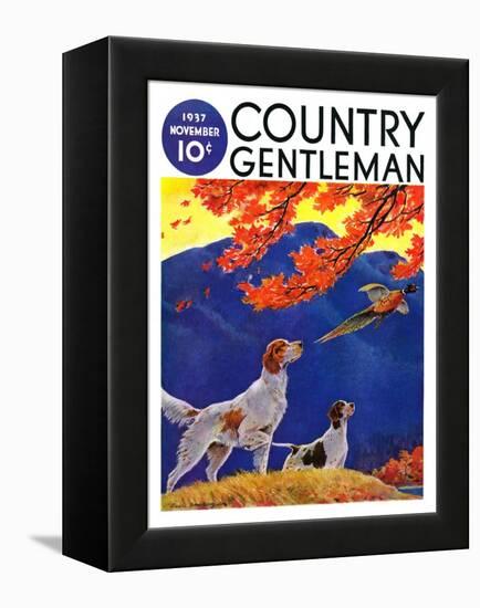 "Pointing to the Pheasant," Country Gentleman Cover, November 1, 1937-Paul Bransom-Framed Premier Image Canvas