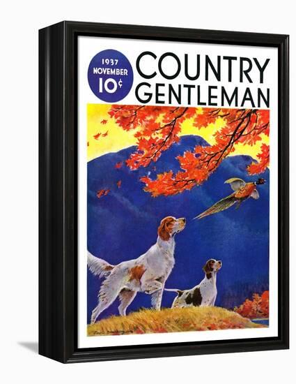 "Pointing to the Pheasant," Country Gentleman Cover, November 1, 1937-Paul Bransom-Framed Premier Image Canvas