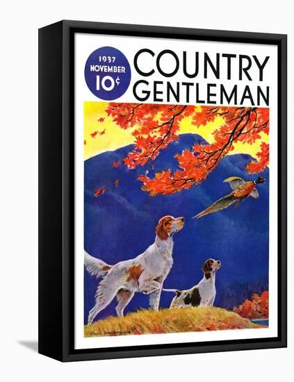 "Pointing to the Pheasant," Country Gentleman Cover, November 1, 1937-Paul Bransom-Framed Premier Image Canvas