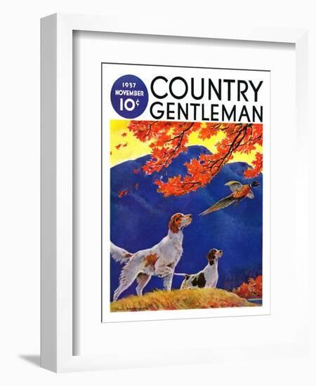 "Pointing to the Pheasant," Country Gentleman Cover, November 1, 1937-Paul Bransom-Framed Giclee Print