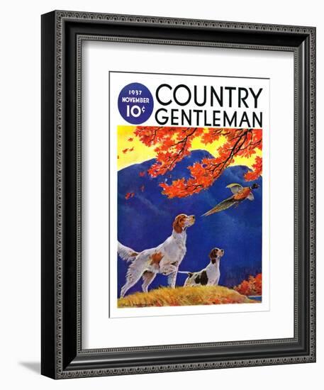 "Pointing to the Pheasant," Country Gentleman Cover, November 1, 1937-Paul Bransom-Framed Giclee Print