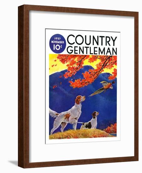 "Pointing to the Pheasant," Country Gentleman Cover, November 1, 1937-Paul Bransom-Framed Giclee Print