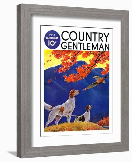 "Pointing to the Pheasant," Country Gentleman Cover, November 1, 1937-Paul Bransom-Framed Giclee Print