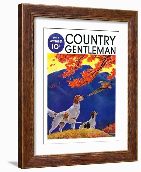 "Pointing to the Pheasant," Country Gentleman Cover, November 1, 1937-Paul Bransom-Framed Giclee Print