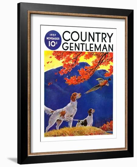 "Pointing to the Pheasant," Country Gentleman Cover, November 1, 1937-Paul Bransom-Framed Giclee Print