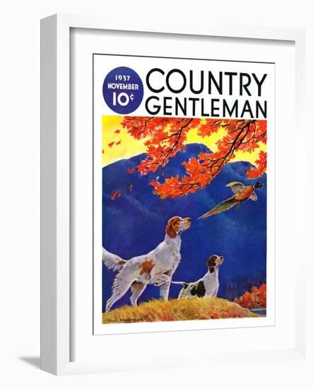 "Pointing to the Pheasant," Country Gentleman Cover, November 1, 1937-Paul Bransom-Framed Giclee Print