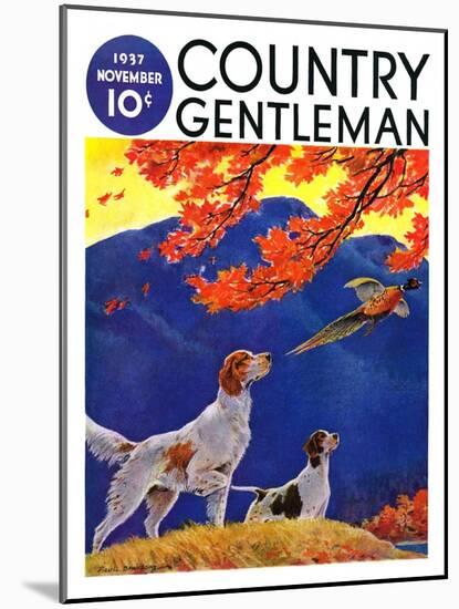 "Pointing to the Pheasant," Country Gentleman Cover, November 1, 1937-Paul Bransom-Mounted Giclee Print