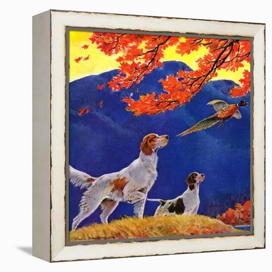 "Pointing to the Pheasant,"November 1, 1937-Paul Bransom-Framed Premier Image Canvas