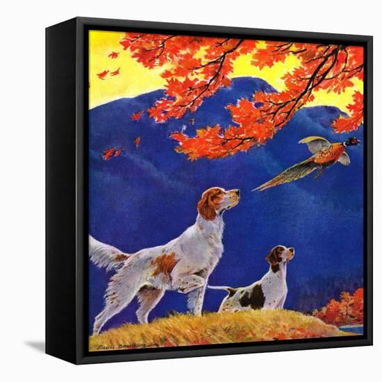 "Pointing to the Pheasant,"November 1, 1937-Paul Bransom-Framed Premier Image Canvas