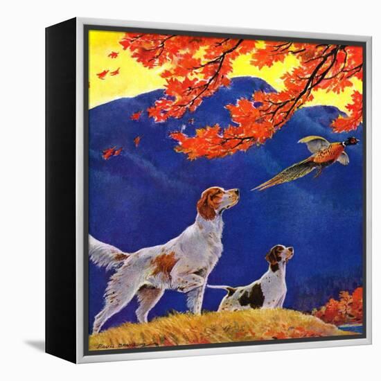 "Pointing to the Pheasant,"November 1, 1937-Paul Bransom-Framed Premier Image Canvas